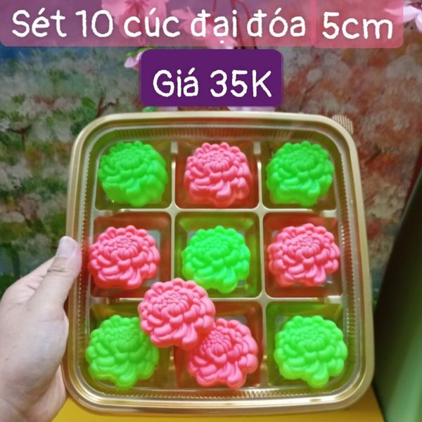 Sét 10 khuôn silicon hoa cúc đại đóa 5cm ( SM1909 )