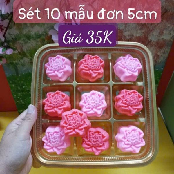 Sét 10 khuôn silicon hoa mẫu đơn 5cm ( SM1913 )