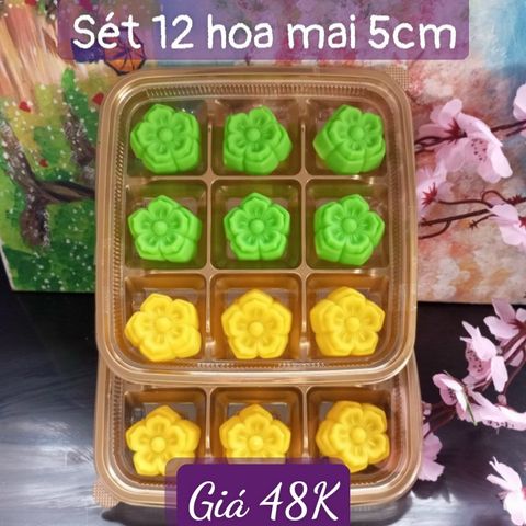 Sét 12 khuôn silicon hoa mai thái 5cm ( SM1900 )