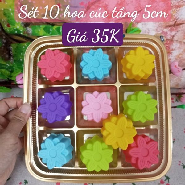 Sét 10 khuôn silicon hoa cúc tầng 5cm ( SM1896 )