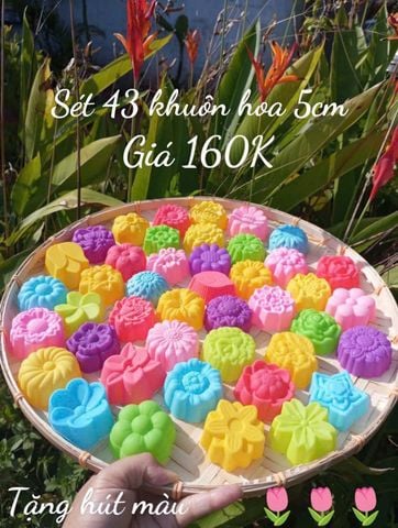 Sét 43 khuôn silicon hoa đủ loại 5cm ( gồm 43 kiểu hoa khác nhau ) ( SM1948 )