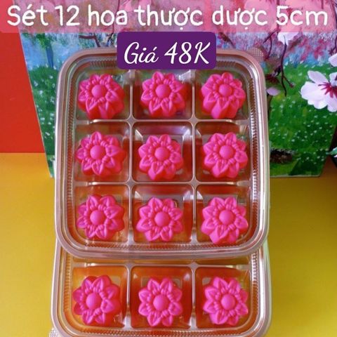 Sét 12 khuôn silicon hoa thược dược 5cm ( SM1931 )