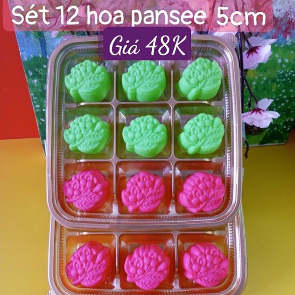 Sét 12 khuôn silicon hoa pansee 5cm ( SM1946 )