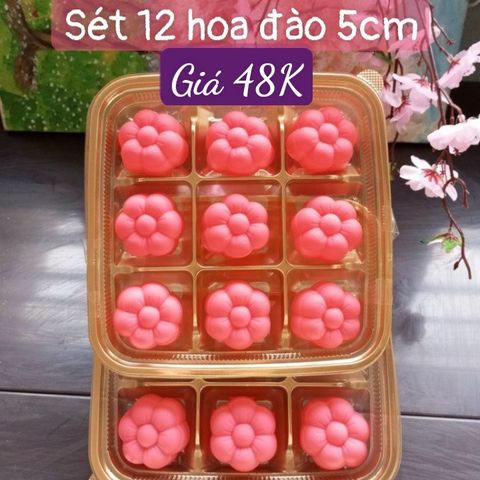 Sét 12 khuôn silicon hoa đào kiểu thái 5cm ( SM1925 )