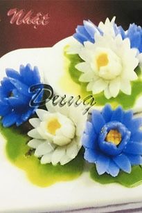 Khuôn nhựa cắt ráp - Hoa-Súng-Nhật