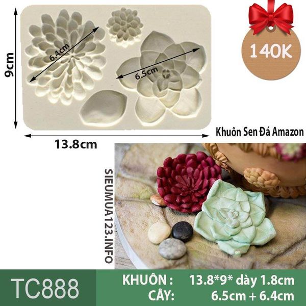 Khuôn silicon làm fondant Sen Đá Amazon 4 Kiểu ( TC888 )