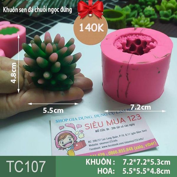 Khuôn silicon làm rau câu sen đá chuỗi ngọc đứng ( TC107 )