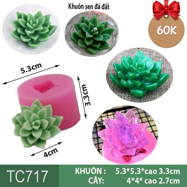 Khuôn silicon làm rau câu sen đá đất nhỏ ( TC717 )