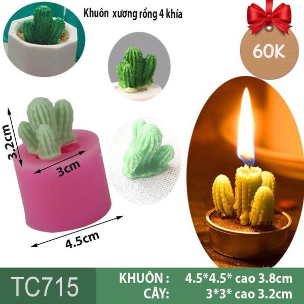 Khuôn silicon làm rau câu xương rồng 4 khía ( TC715 )
