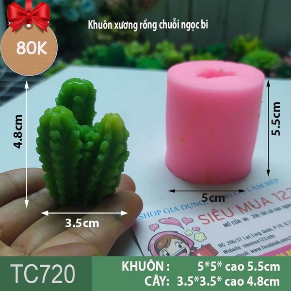 Khuôn silicon làm rau câu xương rồng chuỗi ngọc bi 3c ( TC720 )