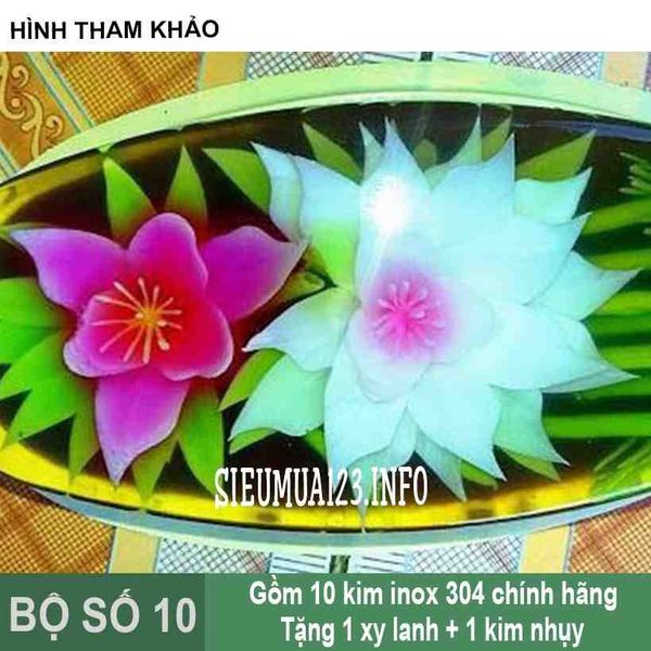 Bộ 10 kim làm rau câu 3d ( Set 10 )