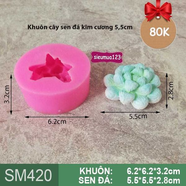 Khuôn rau câu silicon 4d : Khuôn cây sen đá kim cương 5,5cm ( SM420 )