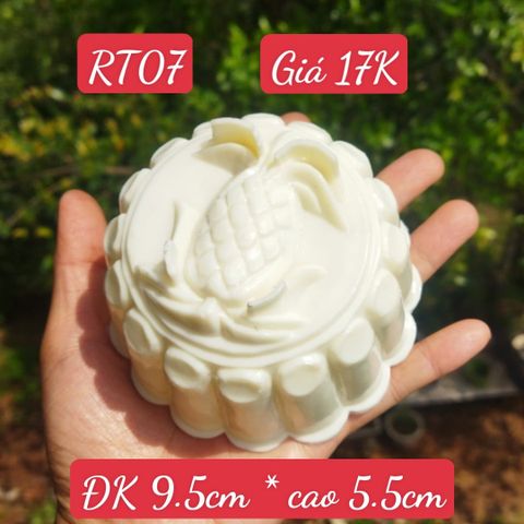 Khuôn Nhựa Trái Thơm Dứa 9,5cm ( RT07 ) CÒN 3 CÁI
