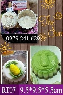 Khuôn Nhựa Trái Thơm Dứa 9,5cm ( RT07 ) CÒN 3 CÁI