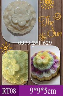 Khuôn Nhựa Hoa Mai 9cm ( RT08 ) còn 13 cái