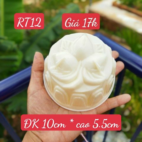 Khuôn Nhựa Trái Đào 10cm ( RT12 ) CÒN 6 CÁI