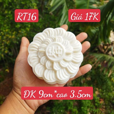 Khuôn Nhựa Xà Lam ( RT16 ) CÒN 15 CÁI