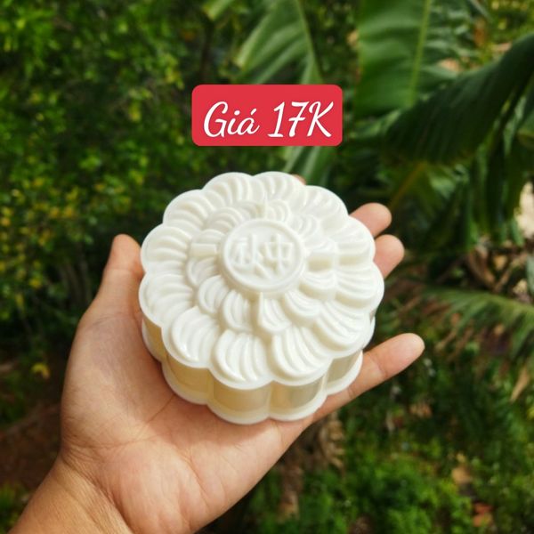 Khuôn Nhựa Xà Lam ( RT16 ) CÒN 15 CÁI