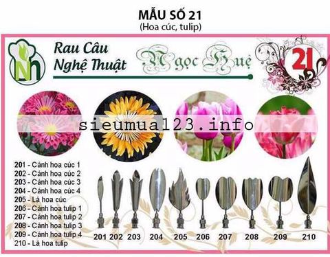 Bộ 10 Kim 3d Số 21