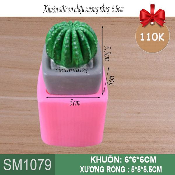 Khuôn rau câu silicon 4d : Khuôn silicon chậu xương rồng 5,5cm ( SM1079 )