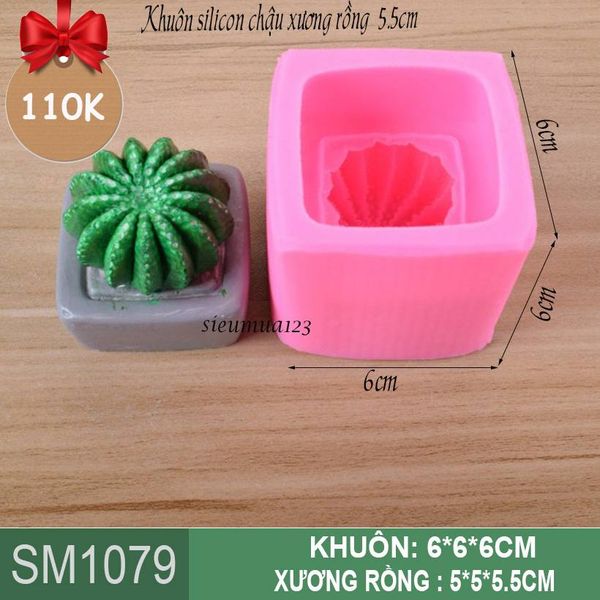 Khuôn rau câu silicon 4d : Khuôn silicon chậu xương rồng 5,5cm ( SM1079 )