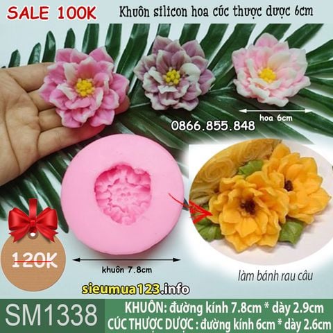 Khuôn silicon hoa cúc thược dược Mexico cánh nhọn 6cm ( SM1338 )