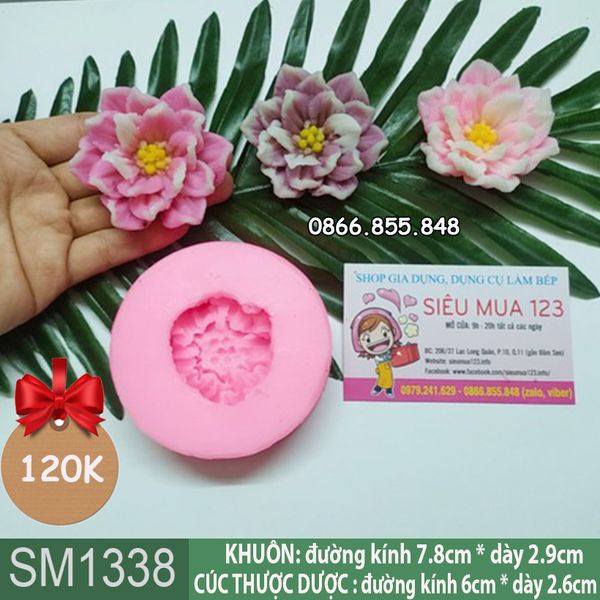 Khuôn silicon hoa cúc thược dược Mexico cánh nhọn 6cm ( SM1338 )