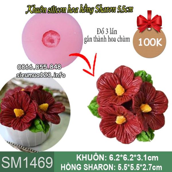 Khuôn silicon làm rau câu hoa hồng sharon 5,5cm ( SM1469 )