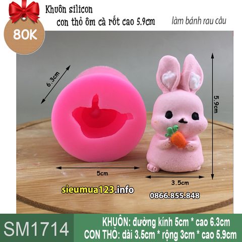 Khuôn silicon con thỏ ôm cà rốt cao 5,9cm ( SM1714 )