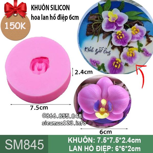 Khuôn silicon hoa lan hồ điệp 6cm ( SM845 )