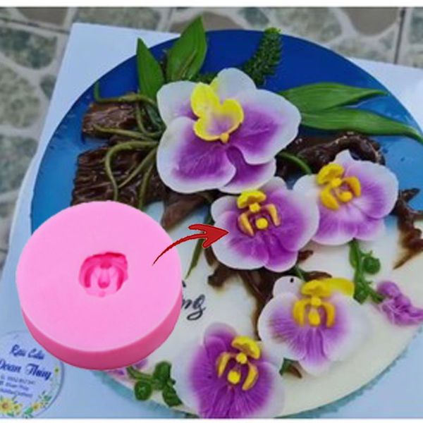 Khuôn silicon hoa lan hồ điệp 6cm ( SM845 )