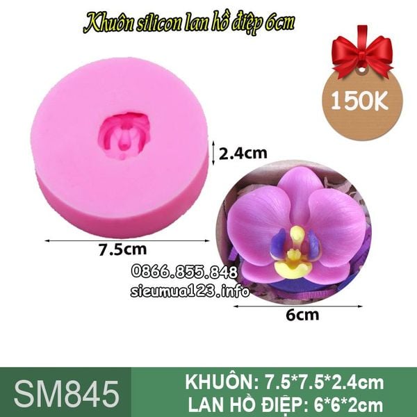 Khuôn silicon hoa lan hồ điệp 6cm ( SM845 )
