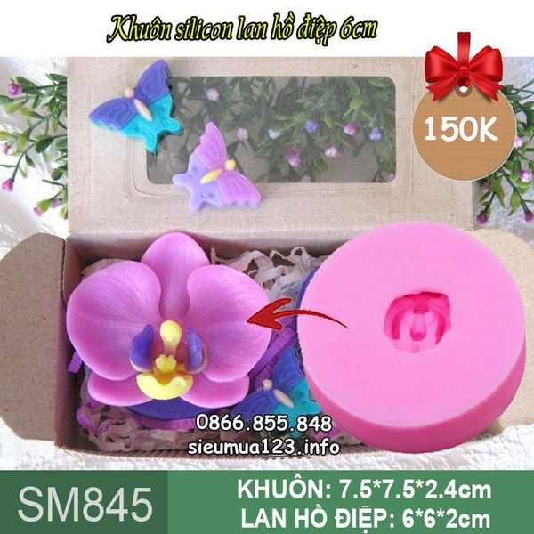 Khuôn silicon hoa lan hồ điệp 6cm ( SM845 )