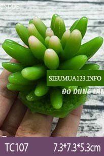 Khuôn silicon làm rau câu sen đá chuỗi ngọc đứng ( TC107 )