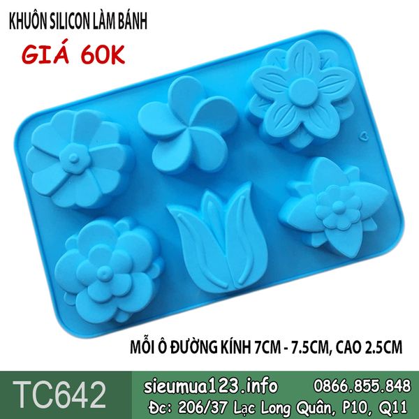 Khuôn silicon 6 hoa sứ tulip mai to 7cm - 7,5cm ( TC642 )