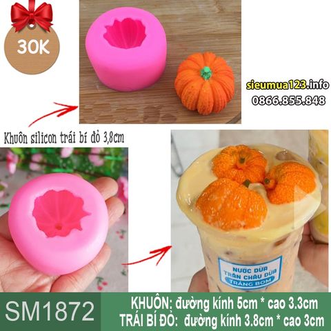 Khuôn silicon trái bí đỏ 3,8cm ( SM1872 ) mẫu 2024