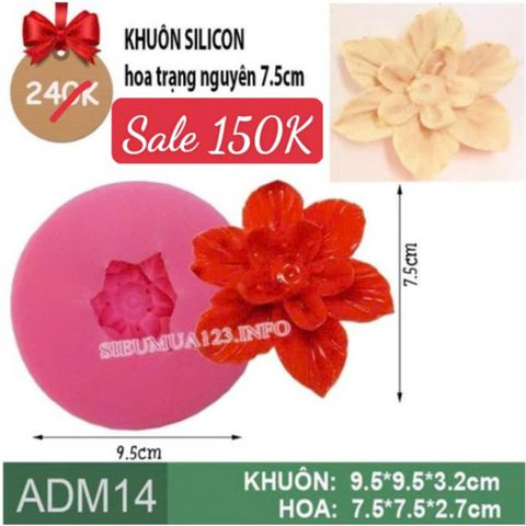 Khuôn silicon hoa trạng nguyên 7,5cm làm rau câu ( ADM14 )