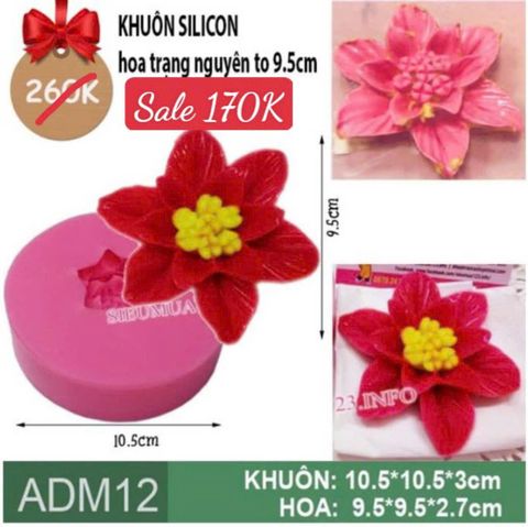 Khuôn silicon Hoa Trạng Nguyên 9,5cm làm rau câu ( ADM12 )