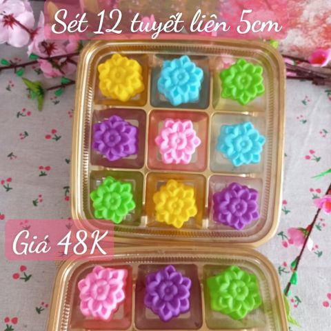 Sét 12 khuôn silicon hoa tuyết liên 5cm ( SM1903 )