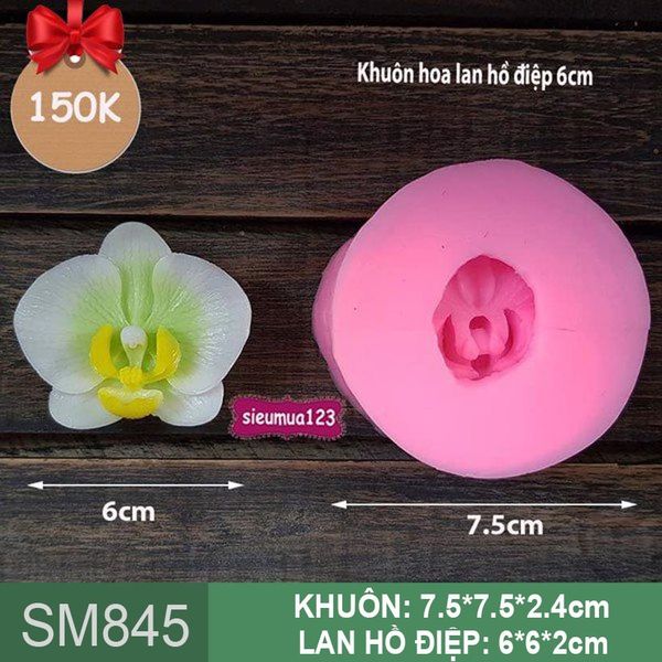 Khuôn silicon hoa lan hồ điệp 6cm ( SM845 )