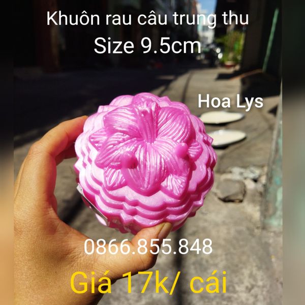 Khuôn Rau Câu Trung Thu Hồng 17k/ cái ( SM1841 ) mẫu 2024