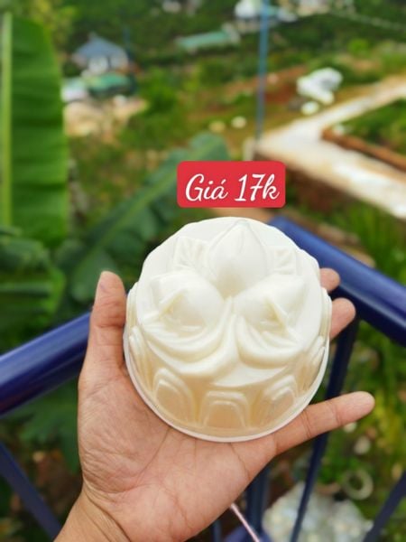 Khuôn Nhựa Trái Đào 10cm ( RT12 ) CÒN 6 CÁI
