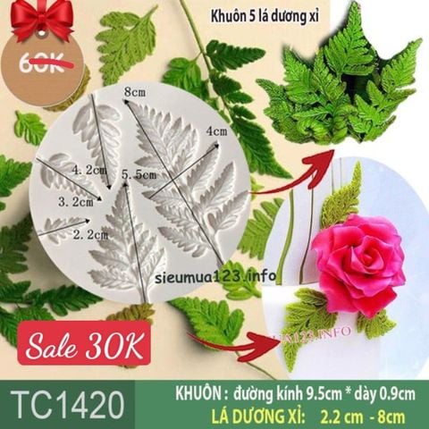 Khuôn silicon 5 lá dương xỉ lớn nhỏ ( TC1420 )