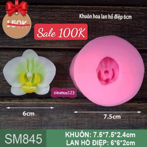 Khuôn silicon hoa lan hồ điệp 6cm ( SM845 )