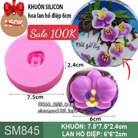 Khuôn silicon hoa lan hồ điệp 6cm ( SM845 )