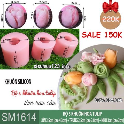 Bộ 3 khuôn silicon hoa tulip đường kính 3,5cm + 3cm + 2,5cm ( SM1614 )