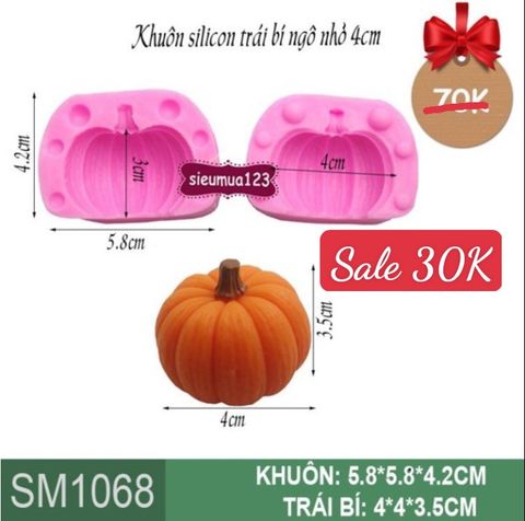 Khuôn silicon trái bí ngô nhỏ 4cm ( SM1068 )