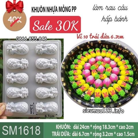 Khuôn nhựa mỏng 10 trái dứa 6,7cm làm rau câu , bánh tổ ( SM1618)