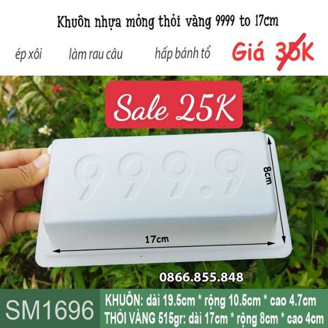 Khuôn nhựa mỏng thỏi vàng 9999 to 17cm làm rau câu , bánh tổ ( SM1696)