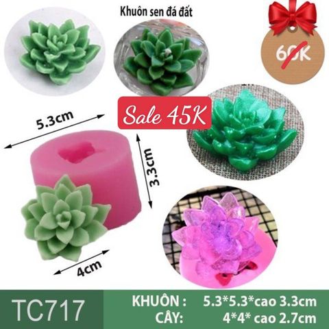 Khuôn silicon làm rau câu sen đá đất nhỏ ( TC717 )